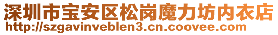 深圳市寶安區(qū)松崗魔力坊內(nèi)衣店