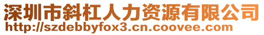 深圳市斜杠人力資源有限公司