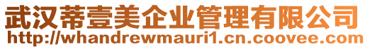 武漢蒂壹美企業(yè)管理有限公司