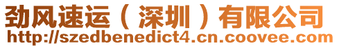 勁風(fēng)速運(yùn)（深圳）有限公司