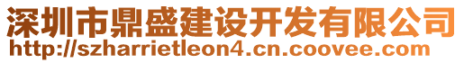 深圳市鼎盛建設(shè)開(kāi)發(fā)有限公司