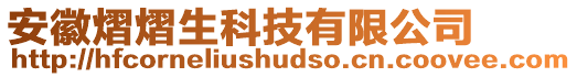 安徽熠熠生科技有限公司