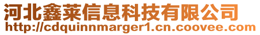 河北鑫萊信息科技有限公司