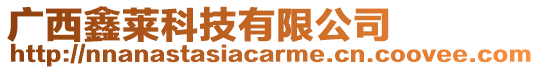廣西鑫萊科技有限公司