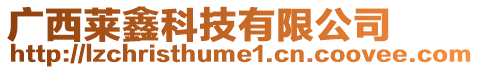 廣西萊鑫科技有限公司