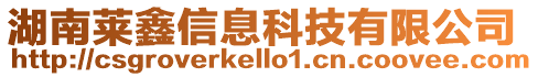 湖南萊鑫信息科技有限公司