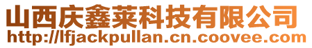 山西慶鑫萊科技有限公司