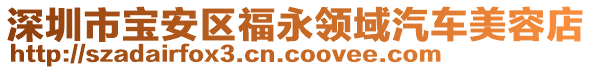 深圳市寶安區福永領域汽車美容店