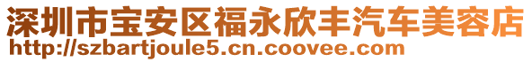 深圳市寶安區福永欣豐汽車美容店