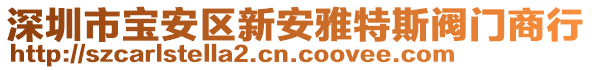 深圳市寶安區(qū)新安雅特斯閥門商行