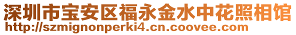 深圳市寶安區(qū)福永金水中花照相館