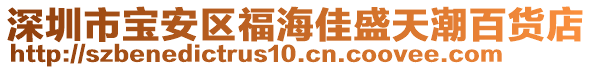 深圳市寶安區(qū)福海佳盛天潮百貨店