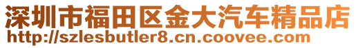 深圳市福田區(qū)金大汽車精品店