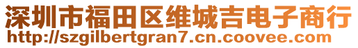 深圳市福田區(qū)維城吉電子商行
