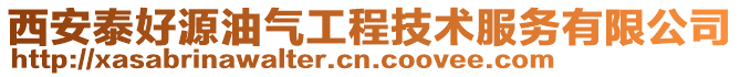 西安泰好源油气工程技术服务有限公司