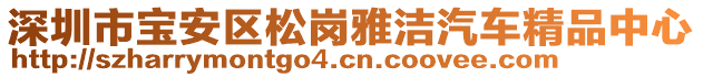 深圳市寶安區(qū)松崗雅潔汽車精品中心