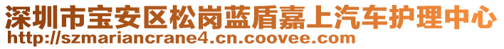 深圳市寶安區(qū)松崗藍(lán)盾嘉上汽車護(hù)理中心