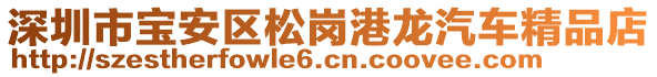 深圳市寶安區松崗港龍汽車精品店