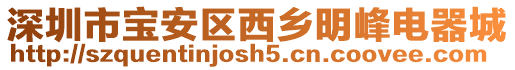 深圳市寶安區西鄉明峰電器城