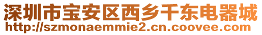 深圳市寶安區(qū)西鄉(xiāng)千東電器城