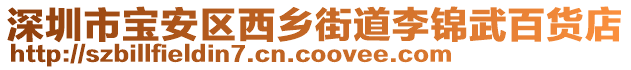 深圳市寶安區西鄉街道李錦武百貨店