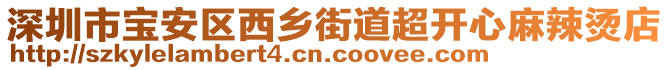 深圳市寶安區西鄉街道超開心麻辣燙店
