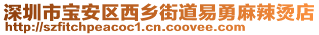 深圳市寶安區西鄉街道易勇麻辣燙店
