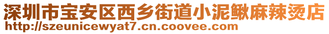 深圳市寶安區(qū)西鄉(xiāng)街道小泥鰍麻辣燙店