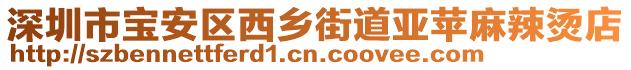 深圳市寶安區西鄉街道亞蘋麻辣燙店