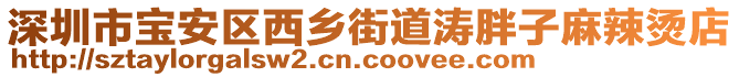 深圳市寶安區(qū)西鄉(xiāng)街道濤胖子麻辣燙店