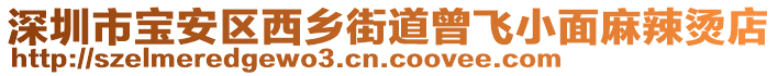 深圳市寶安區(qū)西鄉(xiāng)街道曾飛小面麻辣燙店