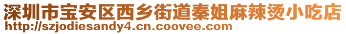 深圳市寶安區西鄉街道秦姐麻辣燙小吃店