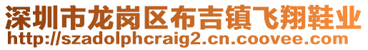 深圳市龍崗區(qū)布吉鎮(zhèn)飛翔鞋業(yè)