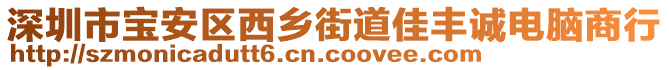 深圳市寶安區(qū)西鄉(xiāng)街道佳豐誠電腦商行