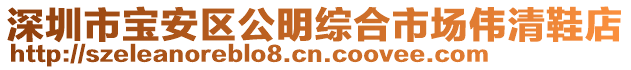 深圳市寶安區(qū)公明綜合市場偉清鞋店