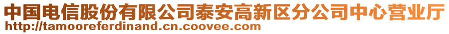 中國電信股份有限公司泰安高新區分公司中心營業廳