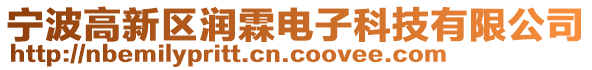 寧波高新區(qū)潤霖電子科技有限公司