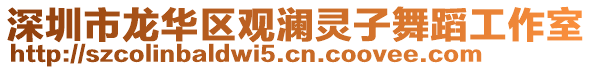 深圳市龍華區觀瀾靈子舞蹈工作室