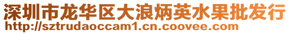 深圳市龍華區大浪炳英水果批發行
