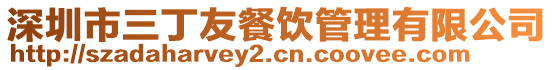 深圳市三丁友餐飲管理有限公司