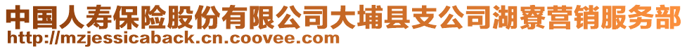 中國人壽保險股份有限公司大埔縣支公司湖寮營銷服務(wù)部