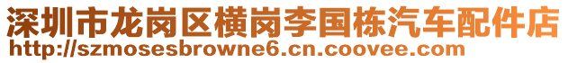 深圳市龍崗區橫崗李國棟汽車配件店