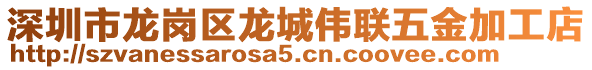 深圳市龍崗區(qū)龍城偉聯(lián)五金加工店