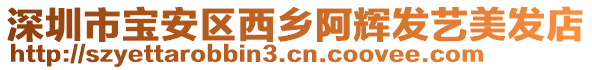 深圳市寶安區西鄉阿輝發藝美發店