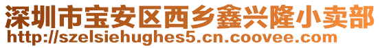 深圳市寶安區(qū)西鄉(xiāng)鑫興隆小賣部