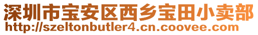深圳市寶安區西鄉寶田小賣部