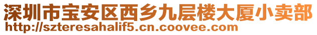 深圳市寶安區西鄉九層樓大廈小賣部