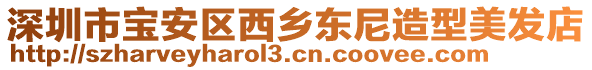 深圳市寶安區西鄉東尼造型美發店