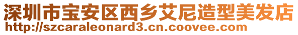 深圳市寶安區西鄉艾尼造型美發店