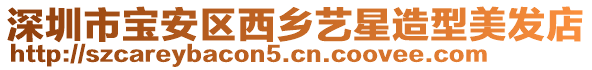 深圳市寶安區西鄉藝星造型美發店